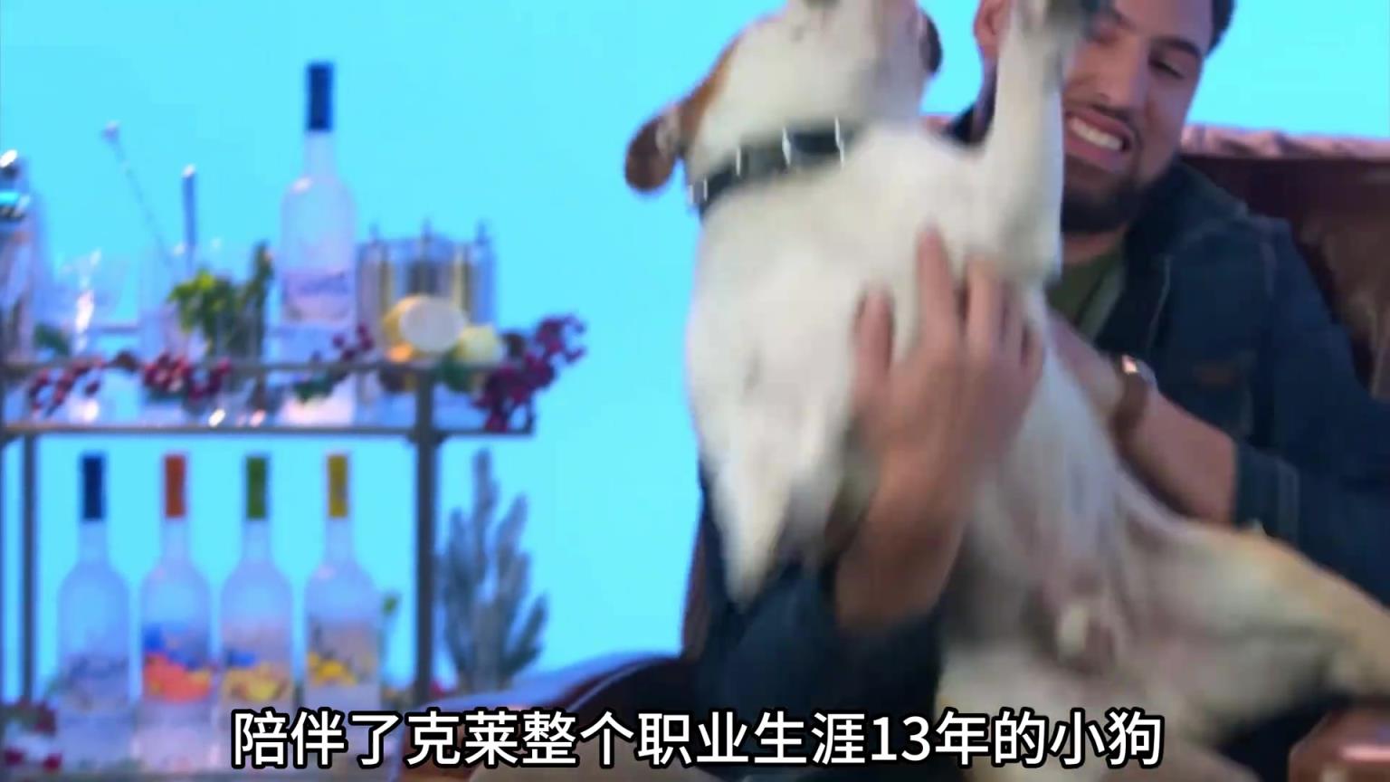 陪伴克萊13年的小狗去世了，不敢相信克萊得多么傷心